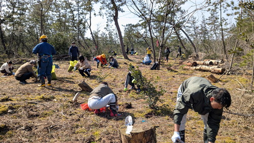 PXL_20260301_015234513.MP