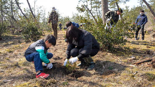 PXL_20260301_015943234.MP