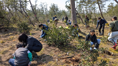 PXL_20260301_020002779.MP