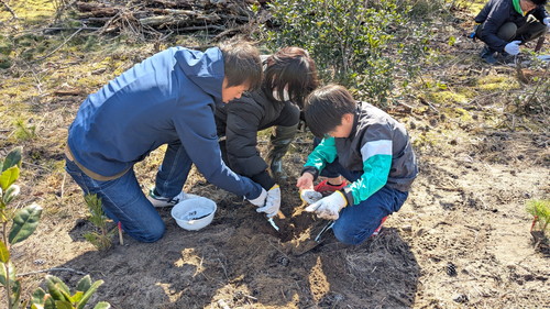 PXL_20260301_020709626.MP