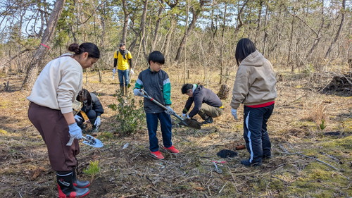 PXL_20260301_021431149.MP